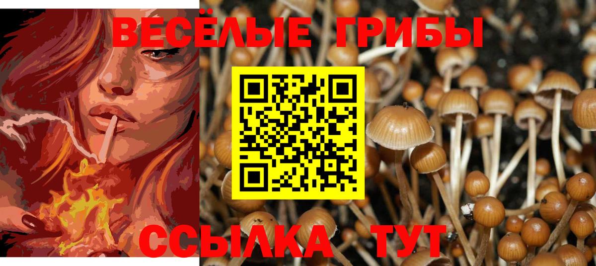 Галлюциногенные грибы MAGIC MUSHROOMS  дарнет шоп  Боровичи  Вход с VPN 