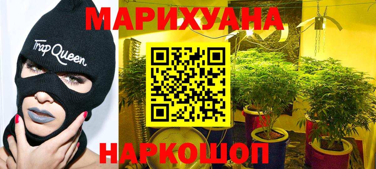 Каннабис сатива  Канабис планчик  Конопля VHQ  Боровичи  Бошки марихуана Amnesia  Вход с VPN 